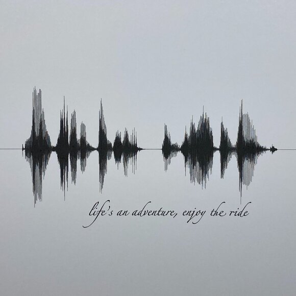 Life's An Adventure, Enjoy The Ride Soundwave 8x10 Contemporary Frame - Picture 2 of 4